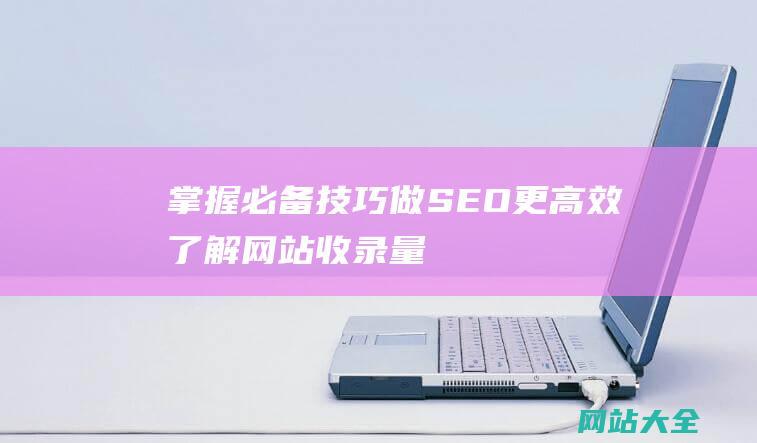 掌握必备技巧-做SEO更高效-了解网站收录量查询工具