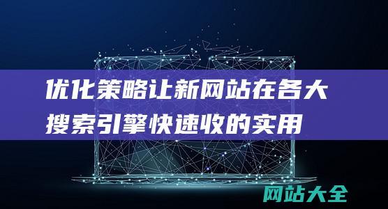 优化策略-让新网站在各大搜索引擎快速收的实用指南