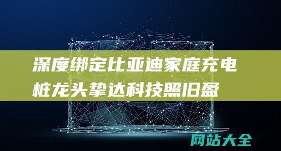 深度绑定比亚迪！家庭充电桩龙头挚达科技照旧盈余