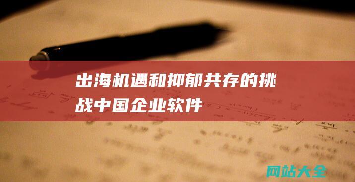 出海机遇和抑郁共存的挑战中国企业软件