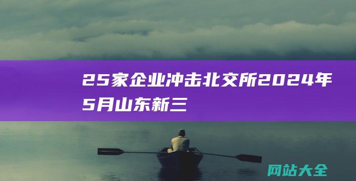 25家企业冲击北交所2024年5月山东新三