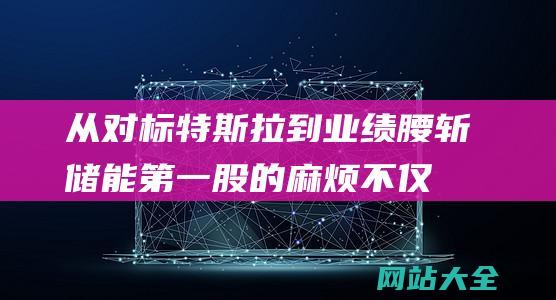 从对标特斯拉到业绩腰斩储能第一股的麻烦不仅