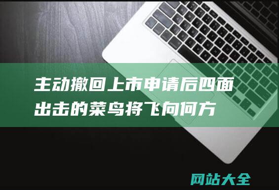 主动撤回上市申请后四面出击的菜鸟将飞向何方