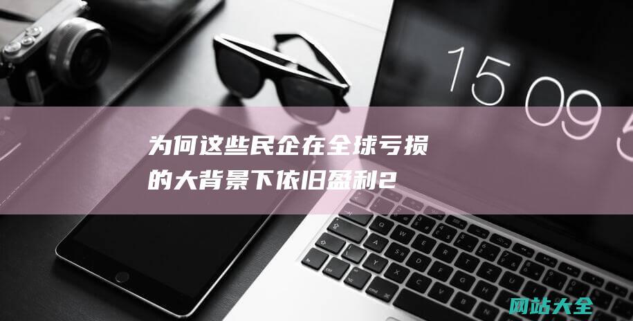 为何这些民企在全球亏损的大背景下依旧盈利-2023年