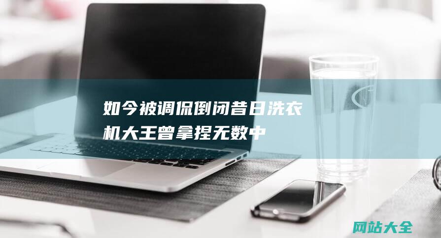 如今被调侃倒闭-昔日洗衣机大王-曾拿捏无数中国人-正在海外闷声发大财