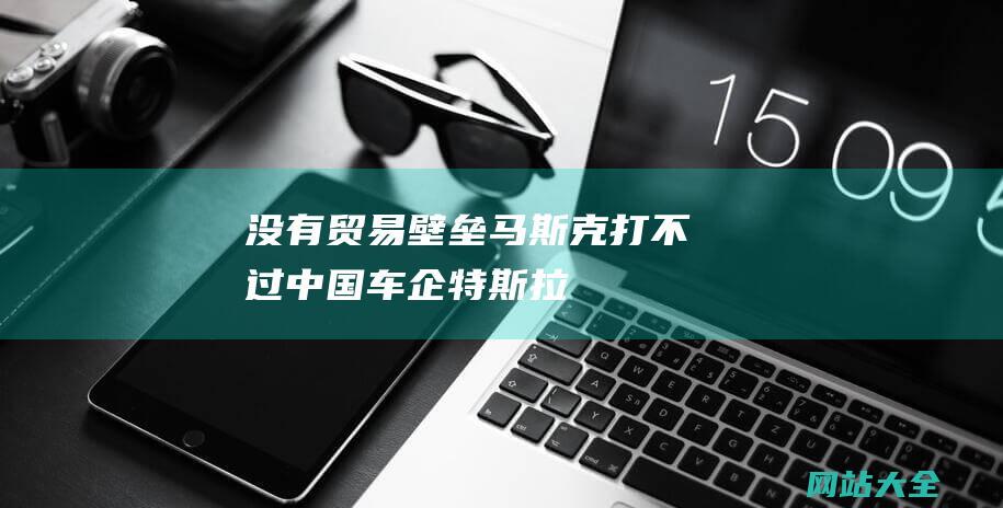 没有贸易壁垒-马斯克-打不过中国车企-特斯拉销量营收创新高