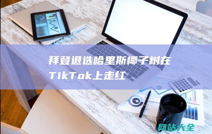 拜登退选哈里斯椰子树在TikTok上走红