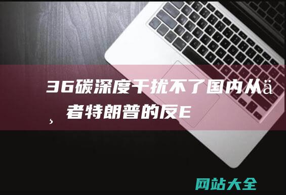 36碳深度干扰不了国内从业者特朗普的反E