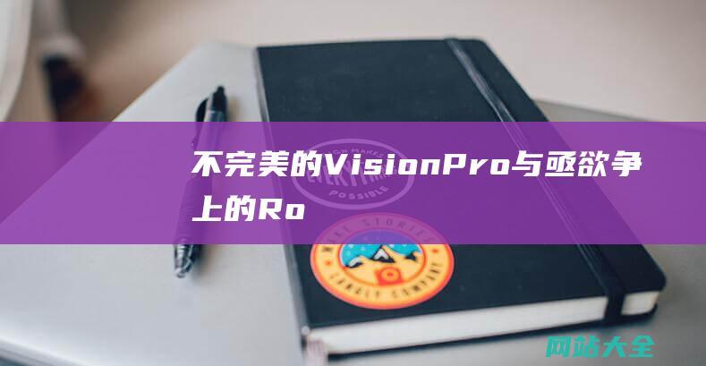 不完美的Vision与亟欲争上的Ro