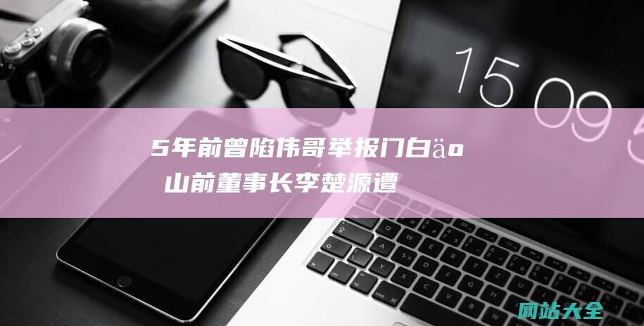 5年前曾陷伟哥举报门-白云山前董事长李楚源遭调查