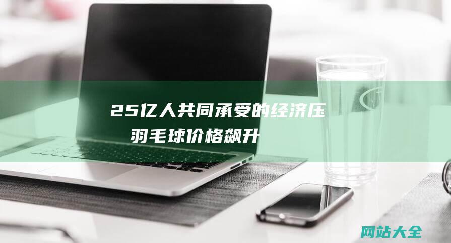 25亿人共同承受的经济压力羽毛球价格飙升