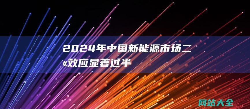 2024年中国新能源市场-二八效应显著-过半阶段探析