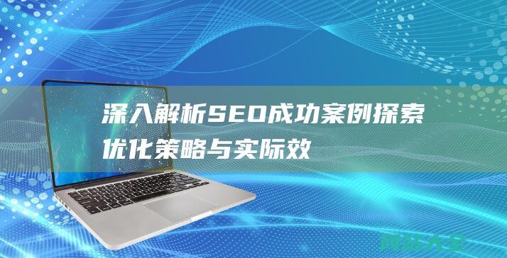 深入解析SEO成功案例-探索优化策略与实际效果的完美结合